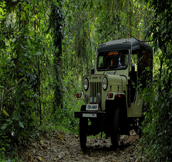 Hotels Near old Courtallam