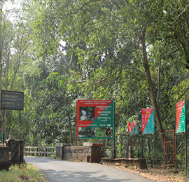 Hotels Near old Courtallam