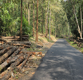 Hotels Near old Courtallam