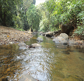 Hotels Near old Courtallam