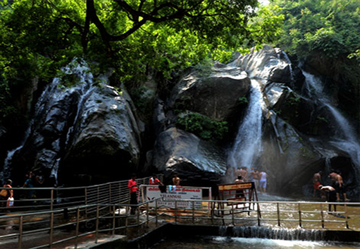 Family Stay near water falls