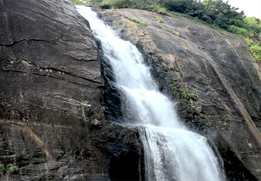 Family Stay near water falls