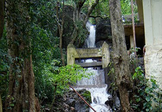 Family Stay near water falls